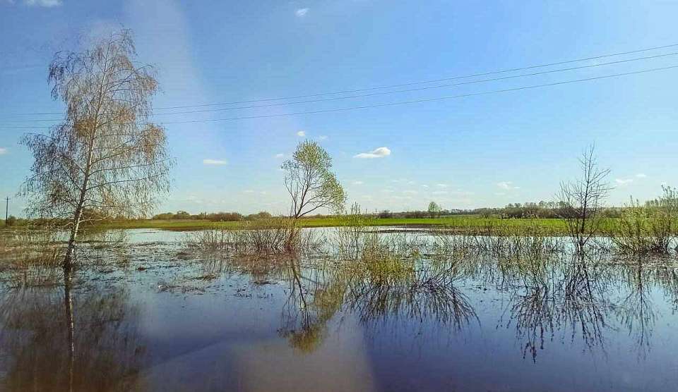 Разлив реки привёл к закрытию кафе и лавки в парке «Нелжа» под Воронежем