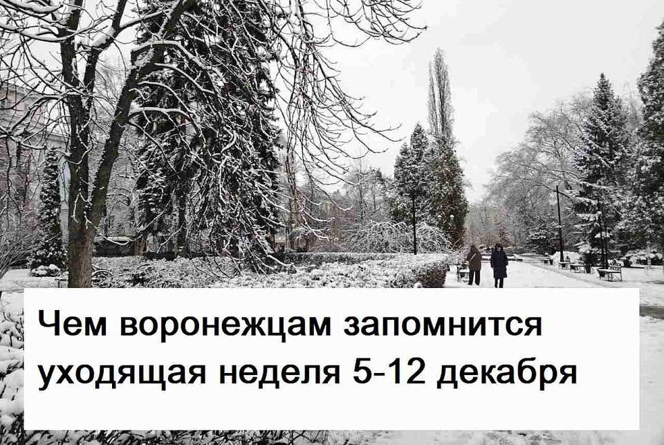 Чем воронежцам запомнится уходящая неделя 5-12 декабря