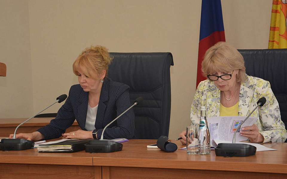Отчет об исполнении бюджета-2024 представили в Воронежской городской думе