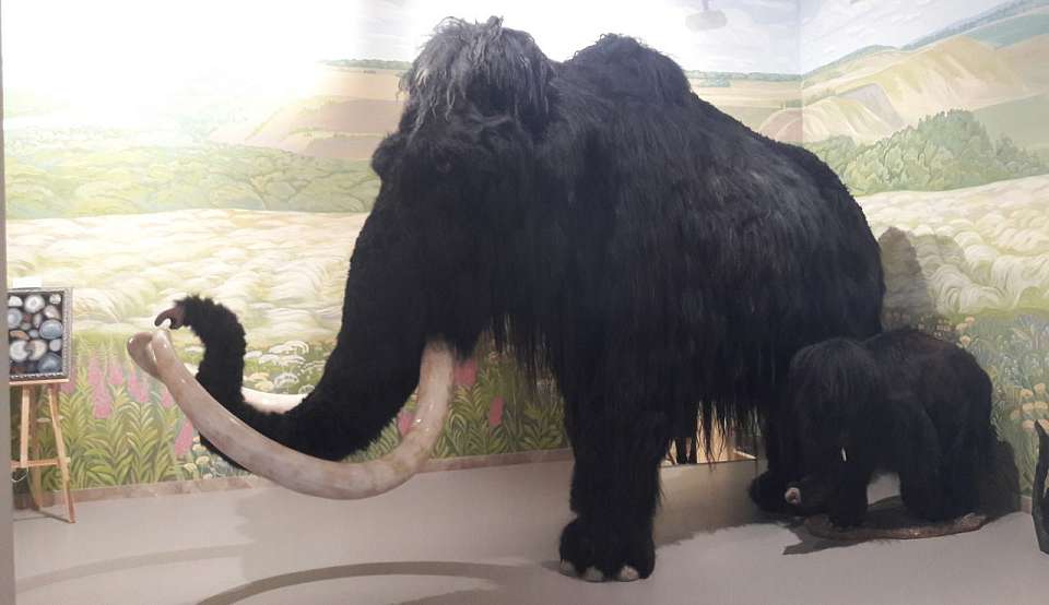 В 1,5 млрд рублей обойдётся реконструкция музея «Костёнки» в Воронежской области