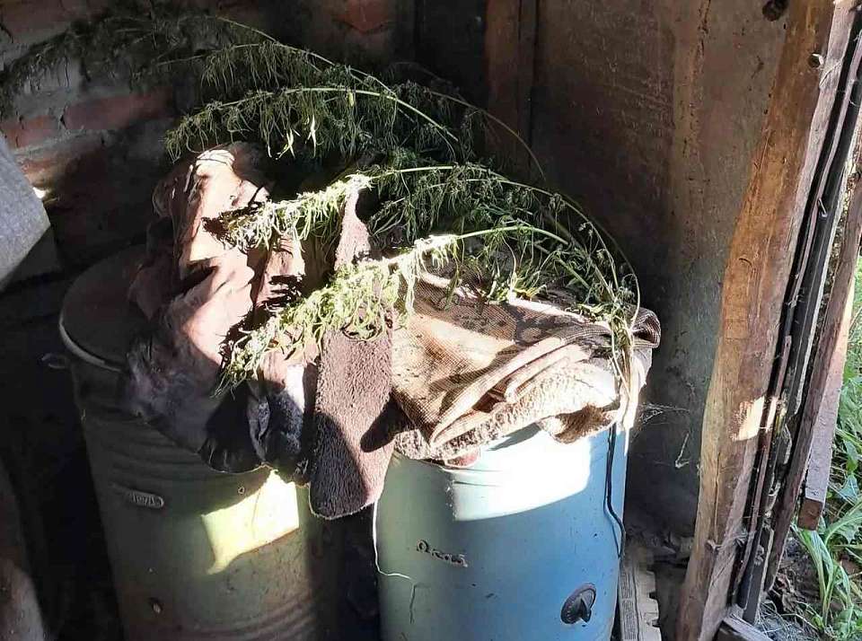 Полицейские обнаружили у жителя воронежского села полкило марихуаны