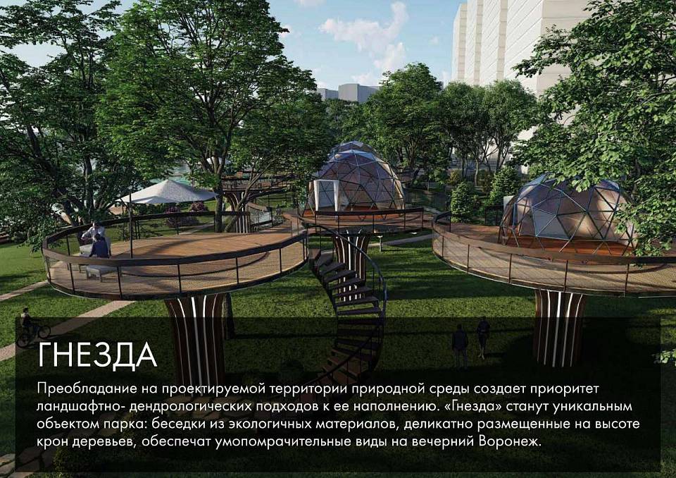 Зону барбекю и домики выходного дня предложили создать в парке «Дельфин» в Воронеже