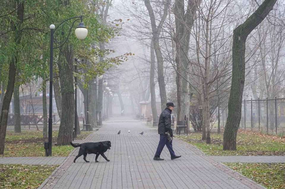 Какая погода установится в четверг, 20 ноября, в Воронежской области
