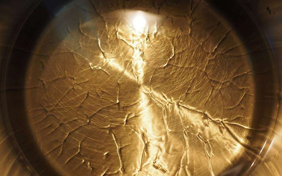 Маслозавод за 2,1 млрд рублей продают в Воронежской области