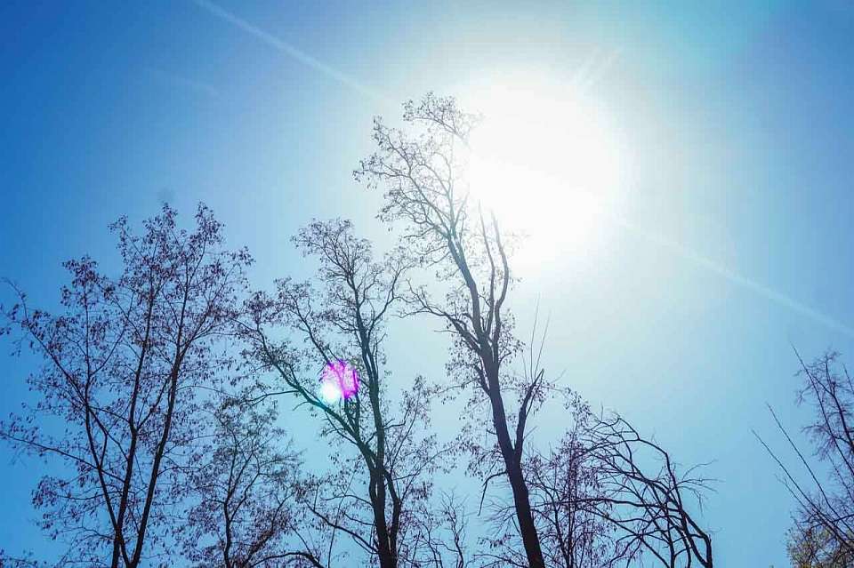 Потеплеет до +14 градусов в Воронежской области в середине недели