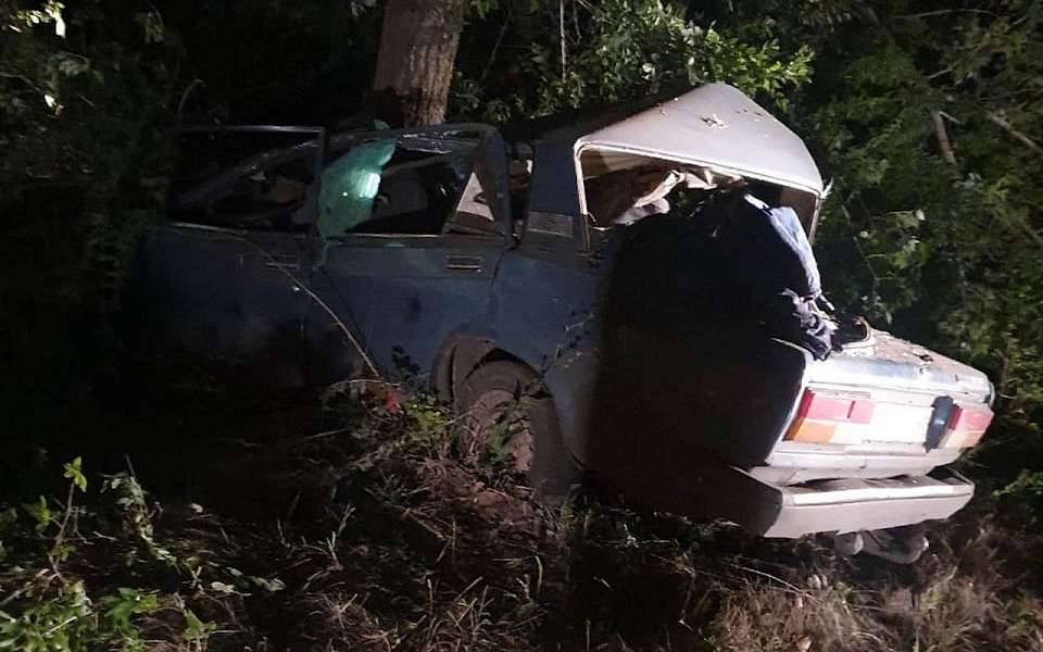 Стараясь не сбить собаку, врезался в дерево и погиб 61-летний водитель в Воронежской области