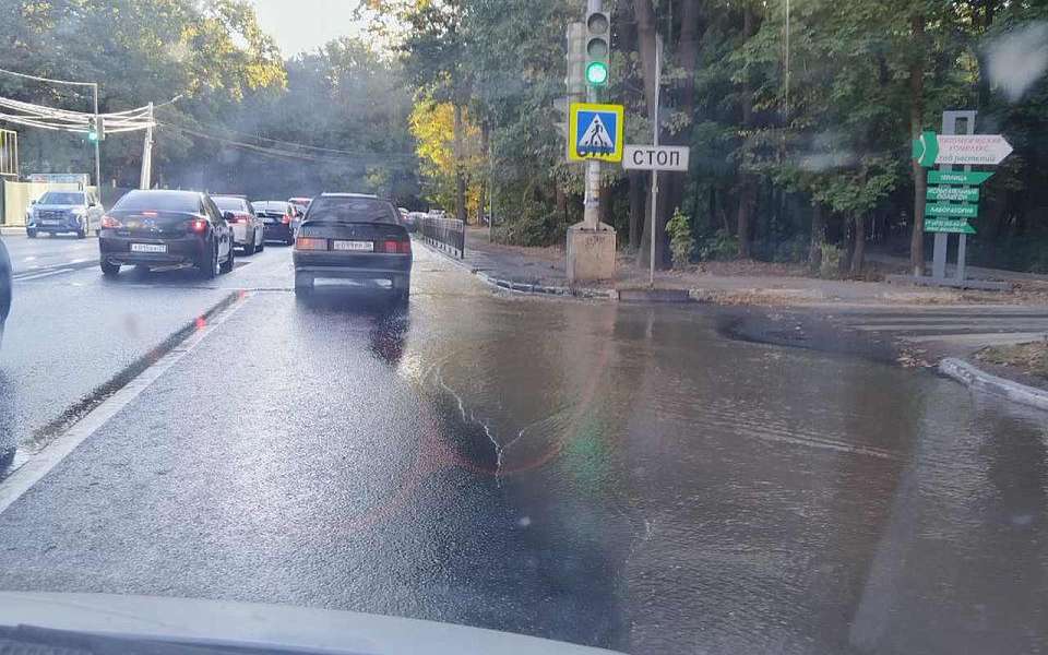 Из-за прорыва трубы воду отключили на улице Ломоносова в Воронеже