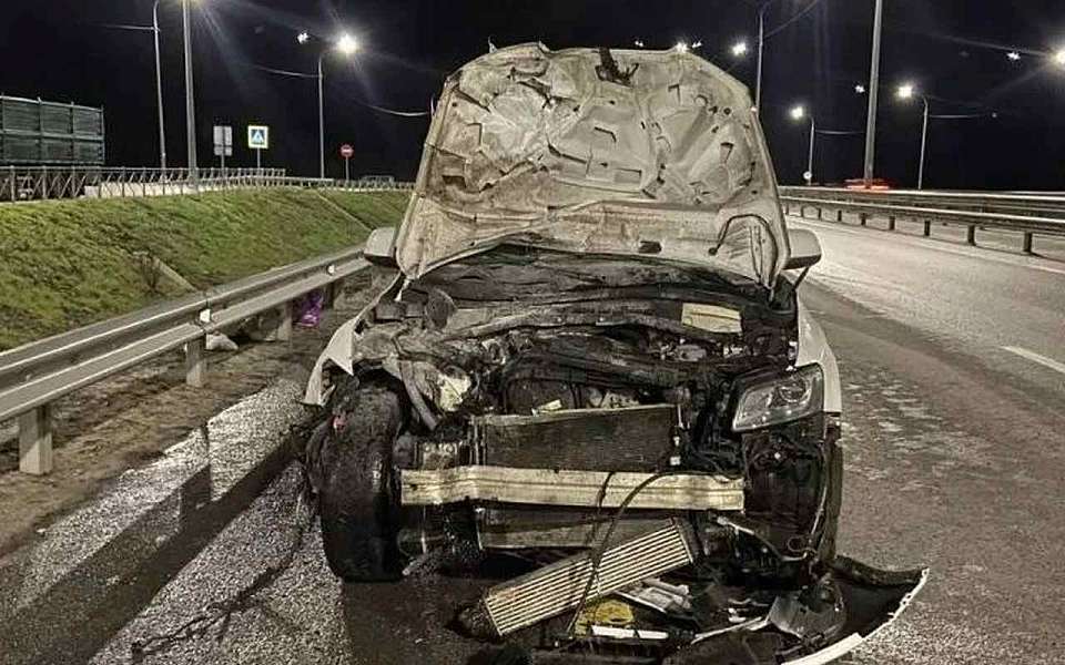 Москвич насмерть сбил женщину на трассе М-4 в Воронежской области
