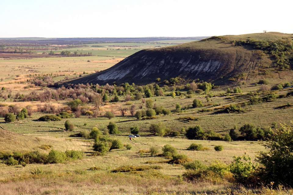 Флористический феномен. Где в Воронежской области планируют создать новый заказник