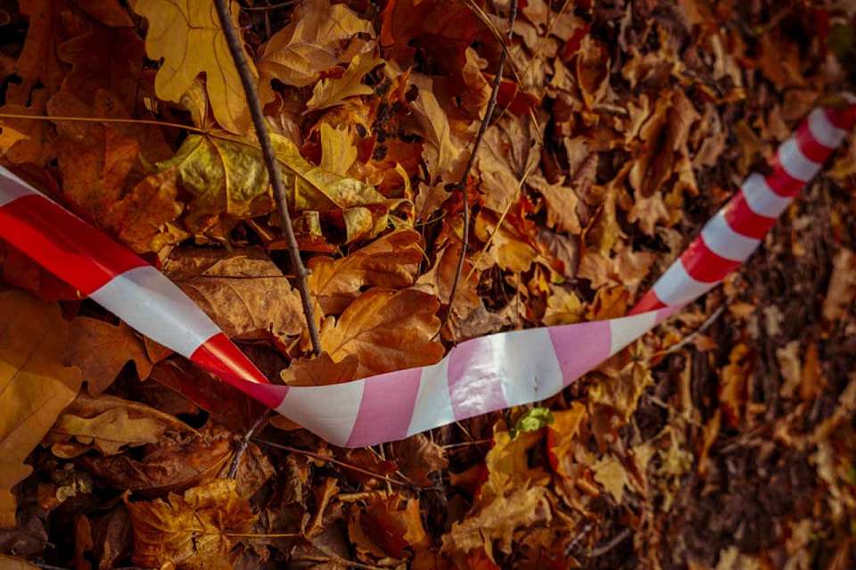 Мертвой нашли пропавшую десять дней назад в воронежских лесах туристку из Ростова 