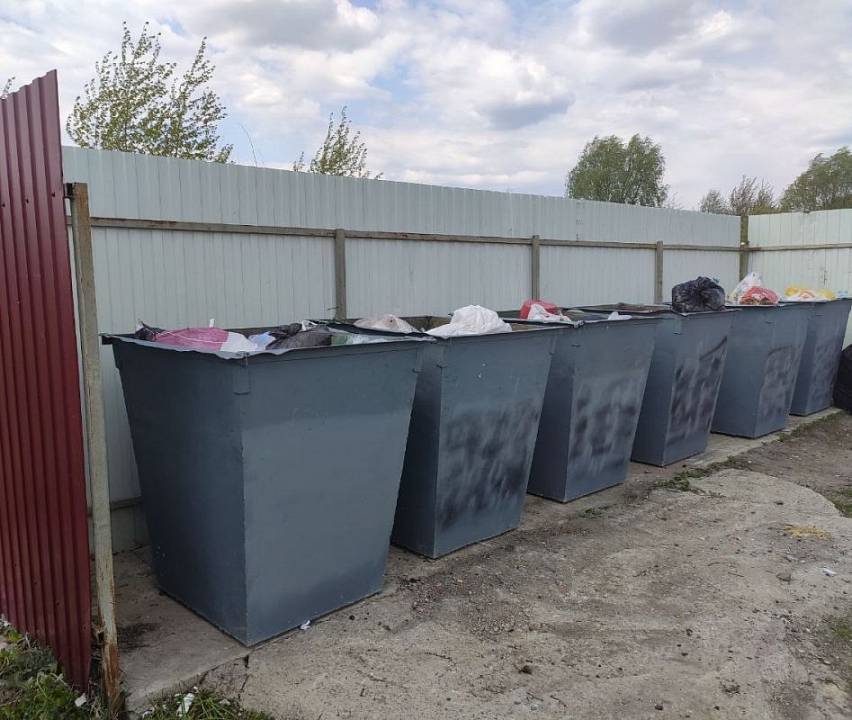 Неизвестные под Воронежем закрасили мусорные баки с флагами иностранных государств