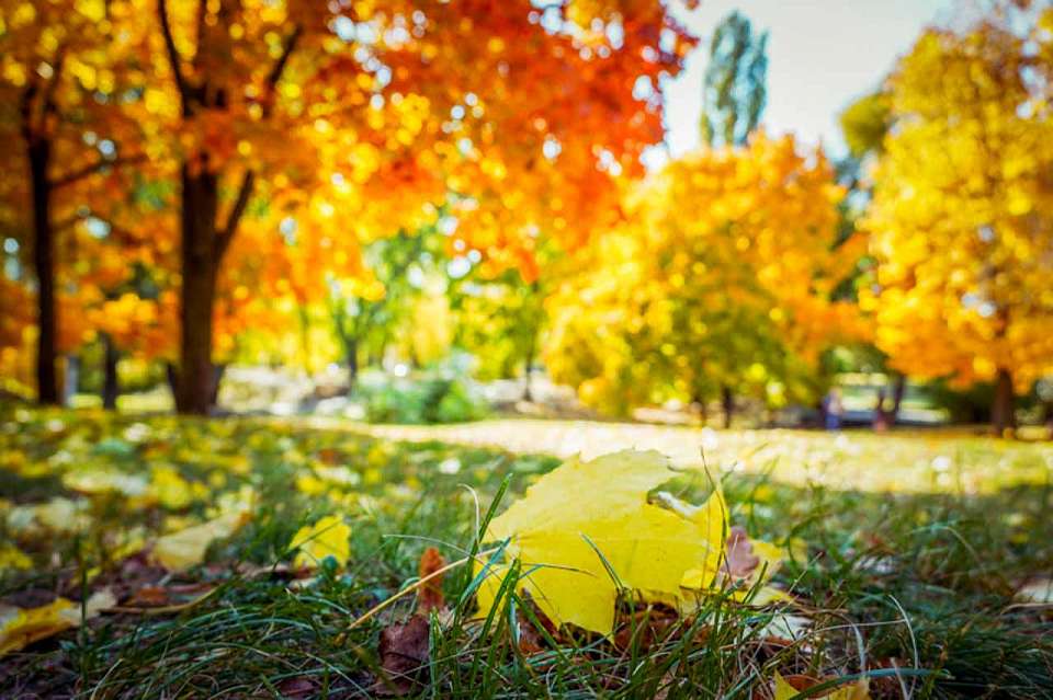  В воскресенье, 12 октября, в Воронеже будет пасмурно