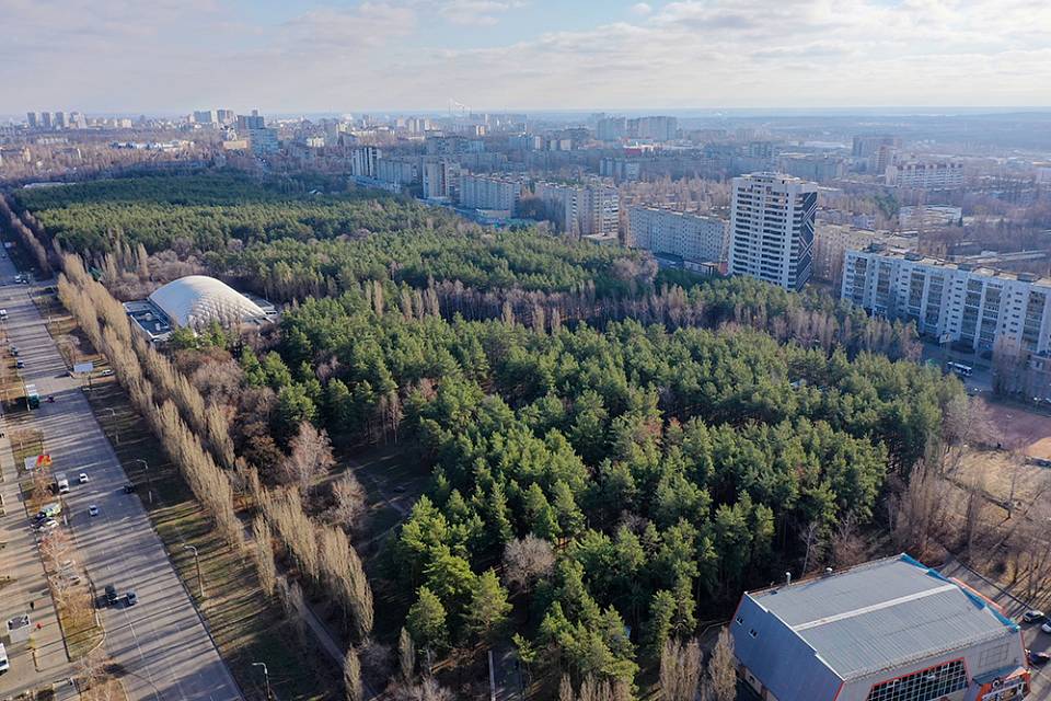 Мэр Воронежа провел переговоры с потенциальным инвестором по парку «Танаис»