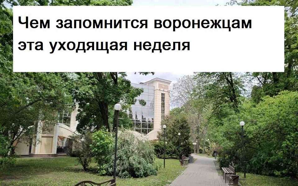 Чем запомнится в Воронеже неделя с 28 августа по 4 сентября