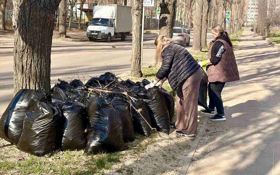 Участники субботника собрали с территории района 240 кубометров мусора и сухой листвы
