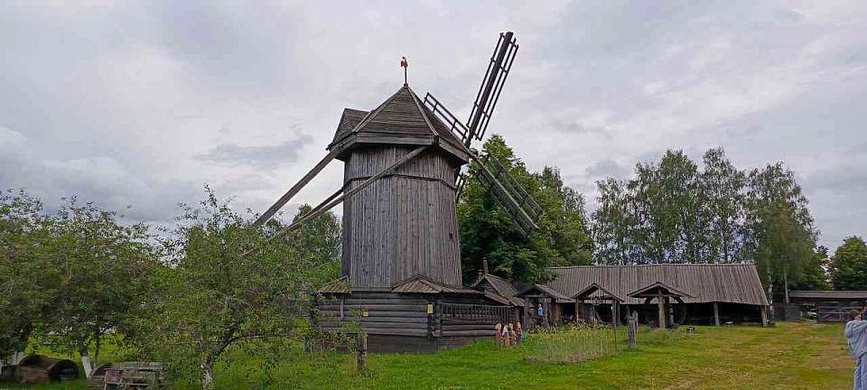 Обвал цен на зерно обескуражил воронежских аграриев