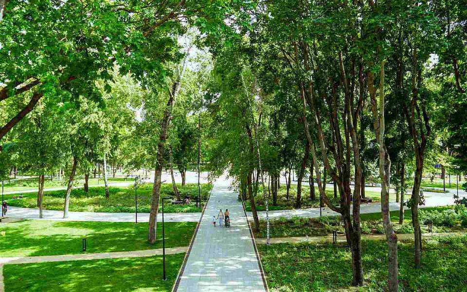 Прогноз погоды на четверг, 11 сентября, дали воронежские синоптики