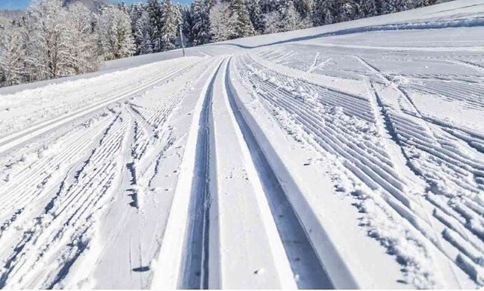 Воронежского лыжника, напавшего на тренера, могут отчислить из школы