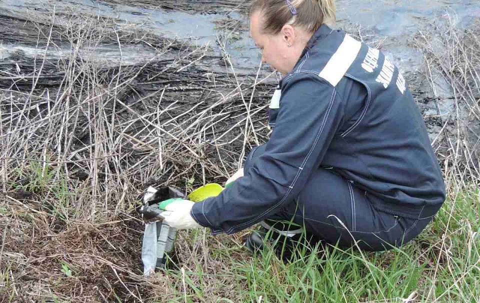 Более 4,3 млн рублей выплатит воронежская компания за экологический ущерб
