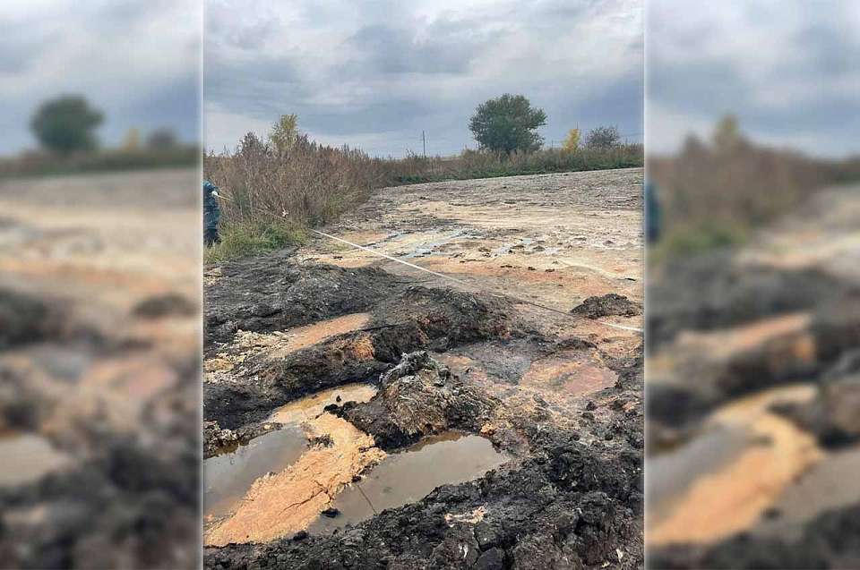 Молочный завод в Воронежской области обязали заплатить за порчу земель