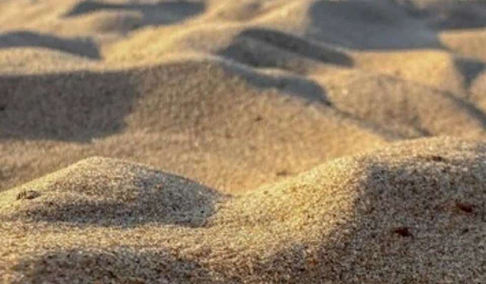 Разработку песчаного карьера после жалоб жителей приостановили в Воронеже