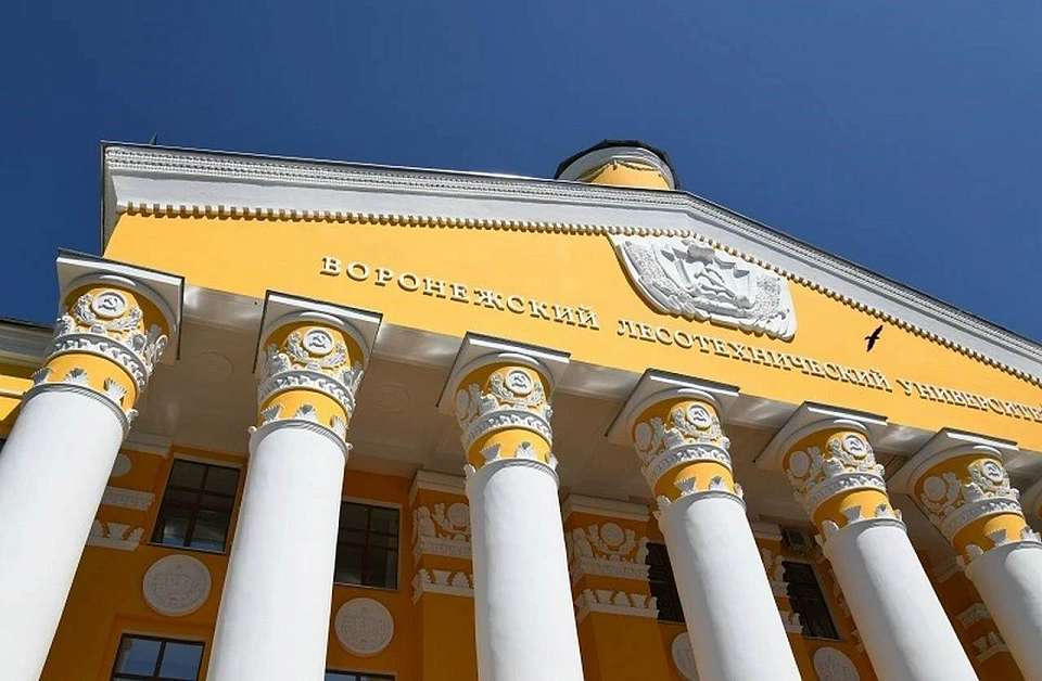 Со всего мира съедутся молодые экологи в Воронежский лесотехнический университет