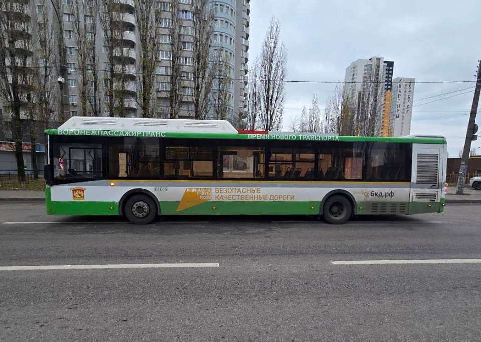 В ДТП грузовика с маршрутным автобусом пострадала 70-летняя пассажирка в Воронеже