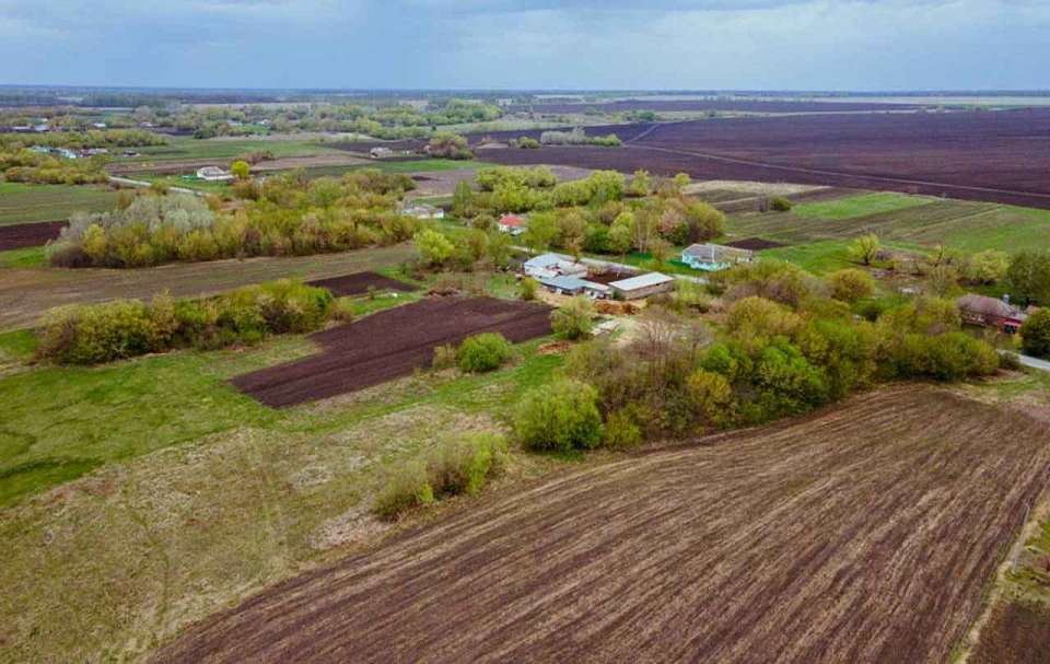 Неиспользуемые сельхозземли воронежские власти возвращают в оборот