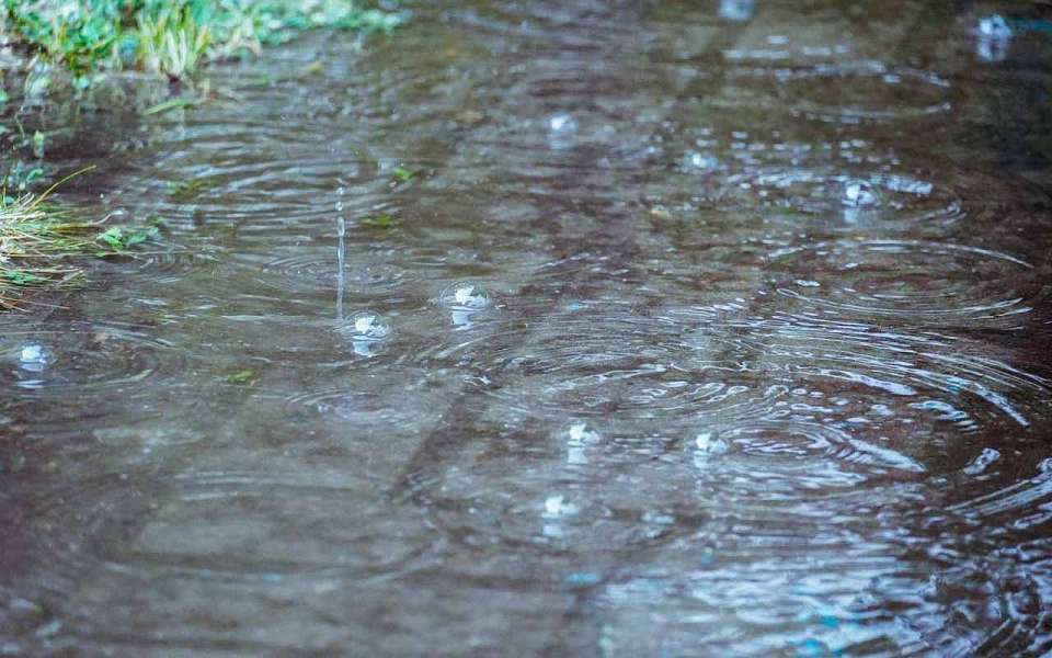 Какой будет погода 24 апреля в Воронеже и области