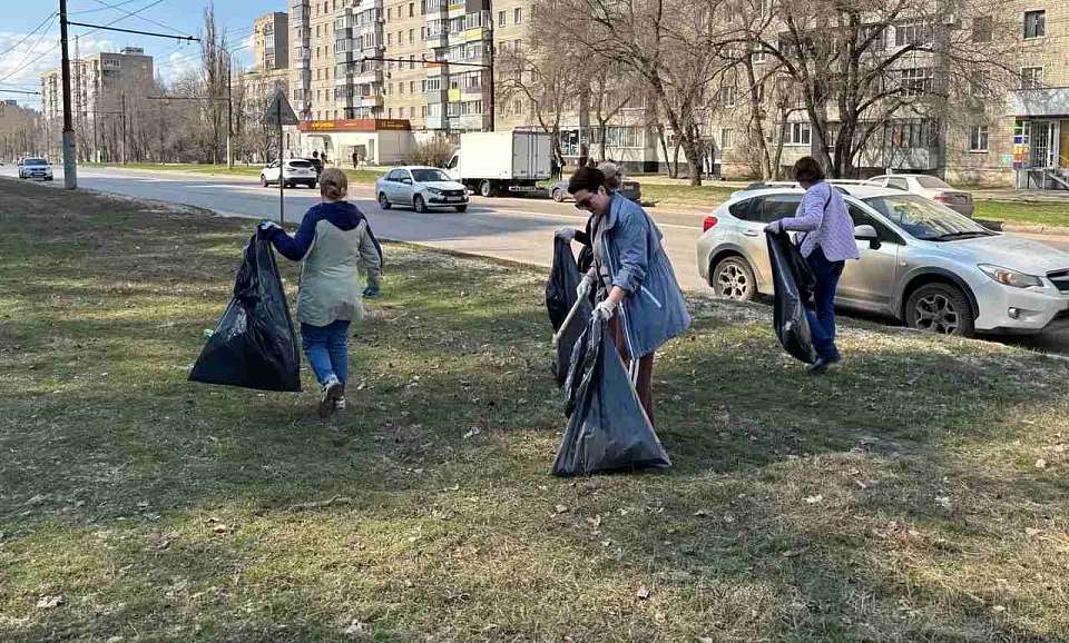 В Воронеже начался месячник благоустройства: объявлены даты субботников