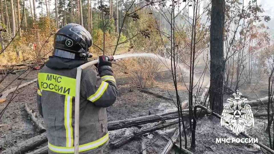 В Воронеже потушили пожар на улице Миронова