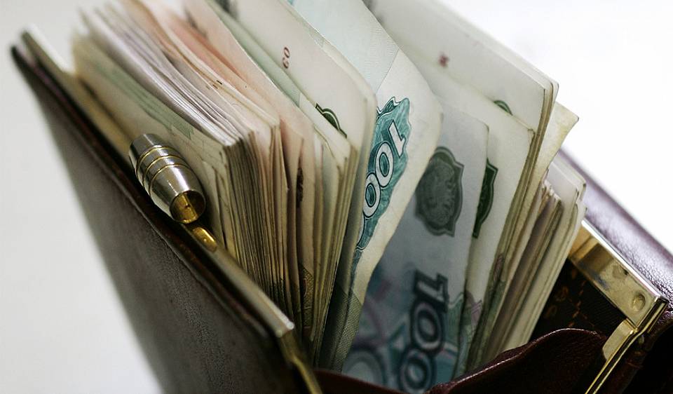 В Воронеже полиция пресекла мошенничество при получении субсидии
