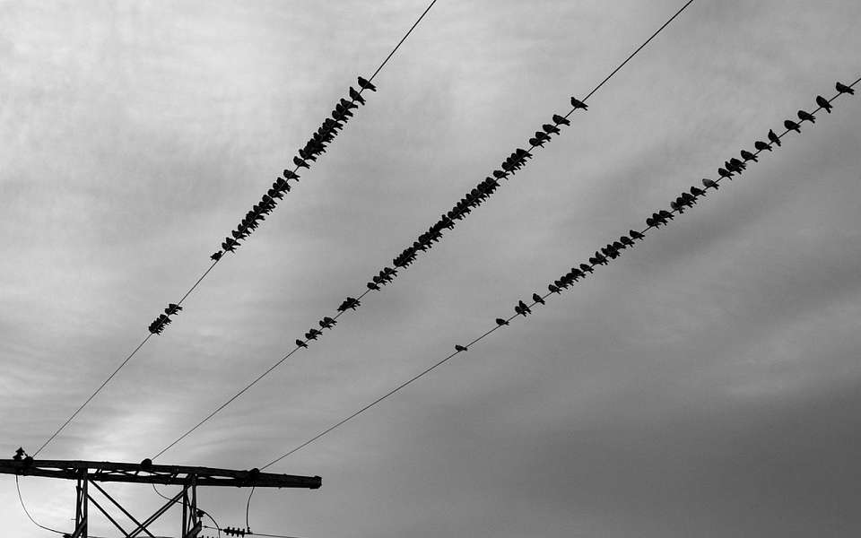 Два района Воронежа остались без света из-за аварии на кабельной линии