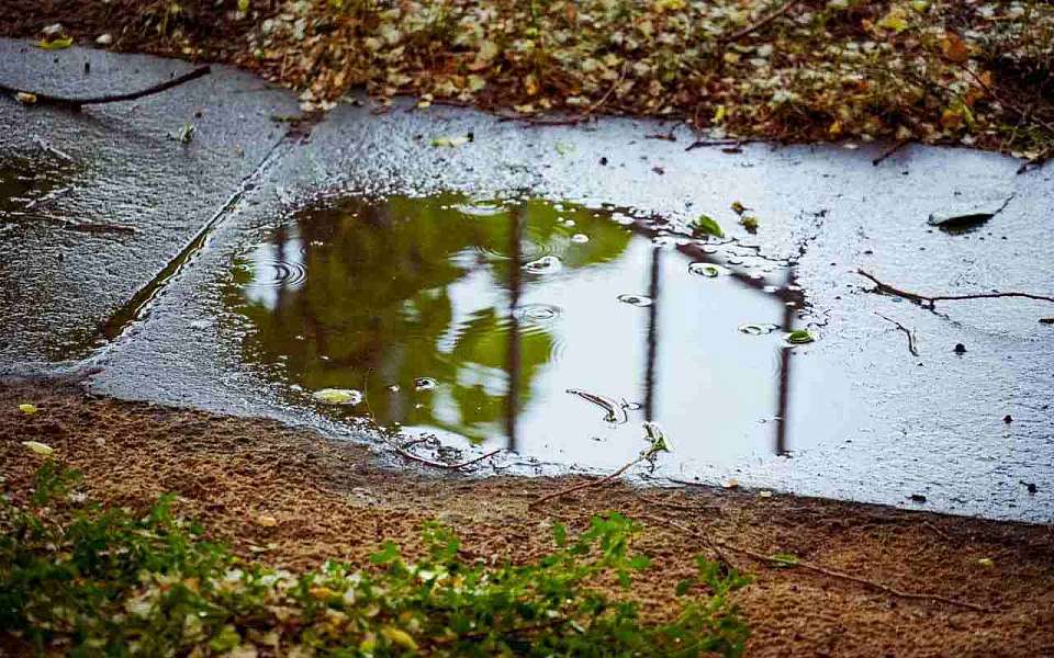 Небольшие дожди и потепление ожидаются на рабочей неделе в Воронежской области