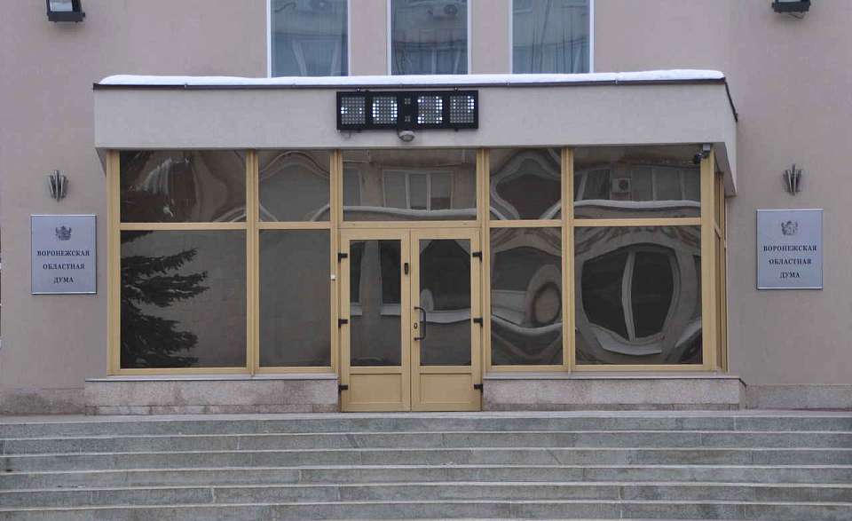 Еще один заместитель появится у спикера Воронежской облдумы