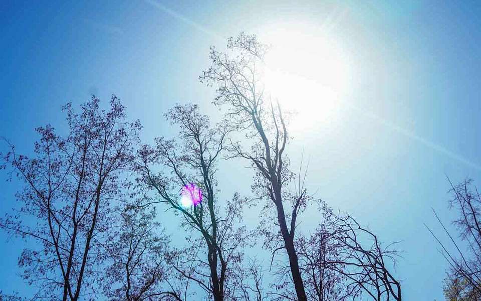 Потеплеет до +13 градусов после мокрого снегопада в Воронежской области