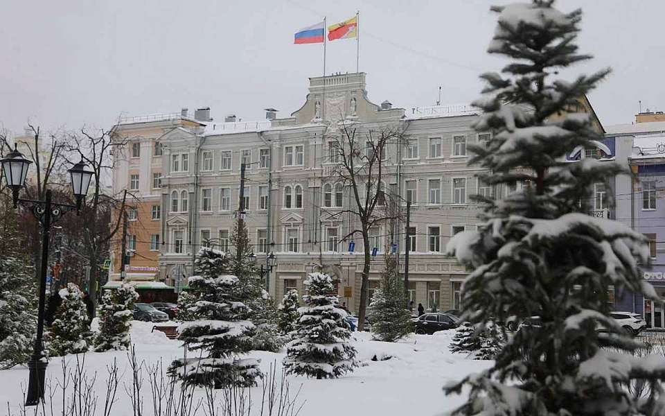 В ТОП-3 рейтинга государственно-частного партнерства вошел Воронеж