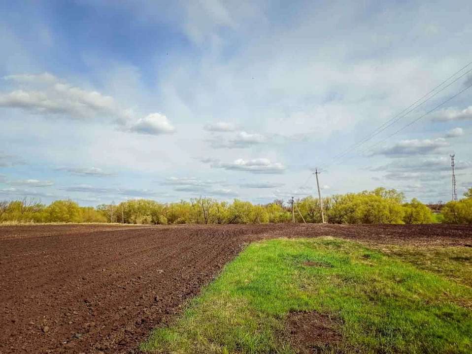 Специалисты рассказали об особенностях использования земли под ЛПХ 