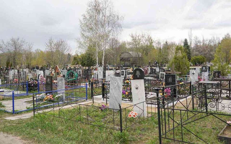 Реестр городских кладбищ впервые сформировали в Воронеже