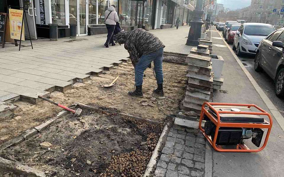 На проспекте Революции приступили к расширению приствольного пространства деревьев