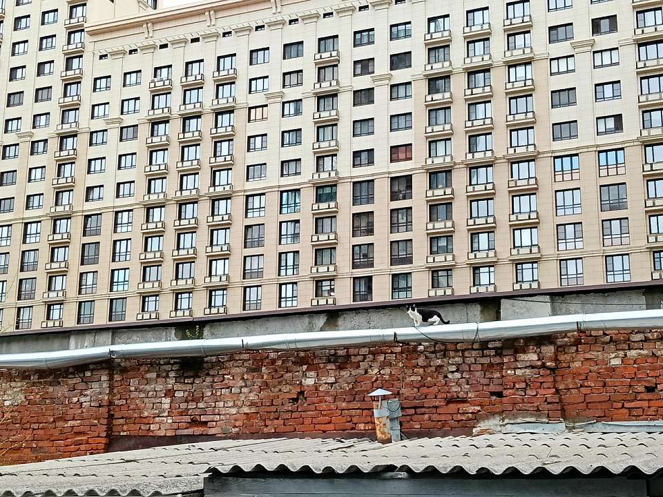 376 воронежцев переедут в новое жилье в 2026 году