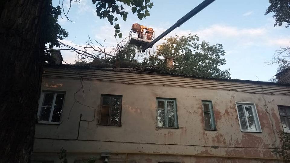 В Воронеже из-за сильного ветра на крышу двухэтажного дома упал тополь (ФОТО)