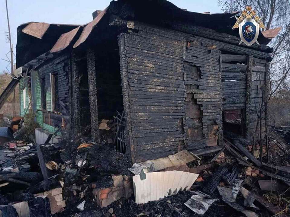 Следователи проводят проверку по факту гибели двух женщин при пожаре в воронежском селе