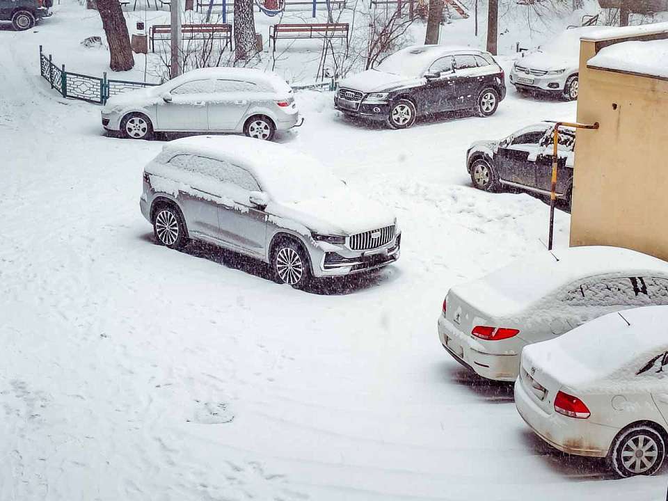 Снегопады вернутся в середине недели в Воронежскую область