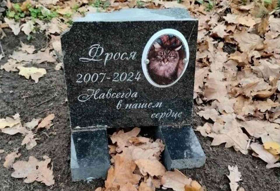 О нелегальном кладбище домашних животных сообщили воронежцы