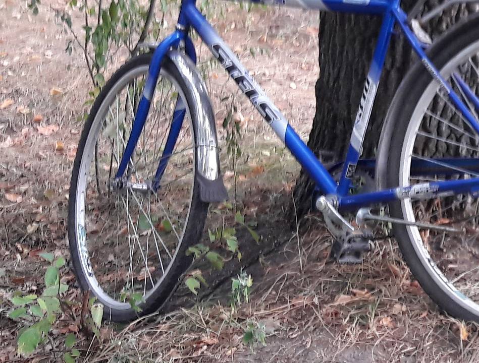 Легковушка сбила 11-летнюю девочку на велосипеде в Воронежской области