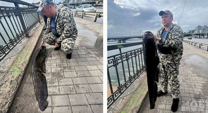 В Воронежском водохранилище поймали 15-килограммового сома