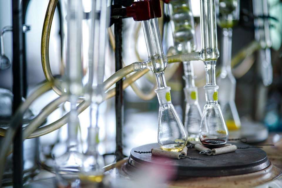 Власти Воронежской области поздравили с Днем российской науки