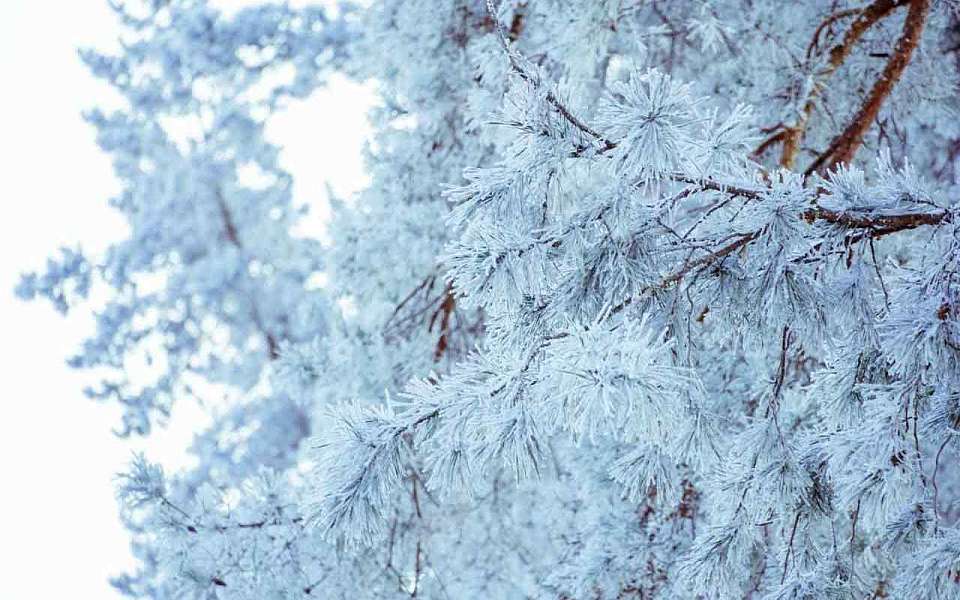 Синоптики и спасатели предупредили воронежцев о вторжении арктического холода  