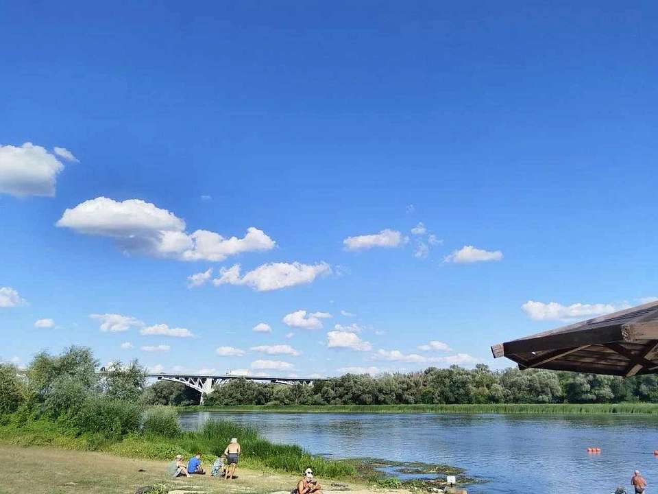 Незаконные прогулки на теплоходе по Дону устраивал воронежский предприниматель